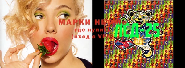 стафф Абаза