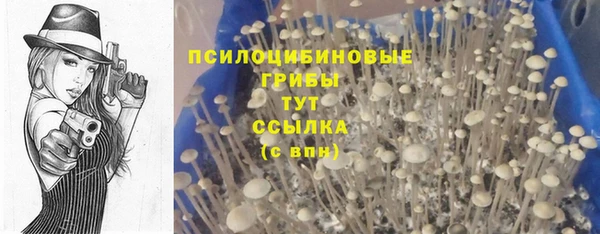 дурь Абдулино