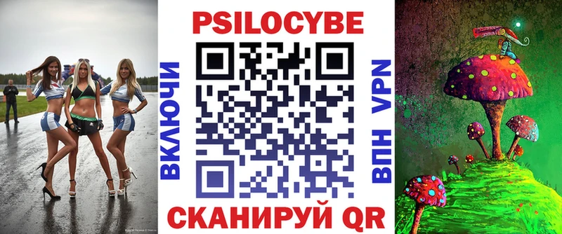 где можно купить   Разумное  Псилоцибиновые грибы Psilocybe 